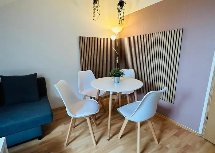 Апартаменты Gemuetliche Dachgeschosswohnung -waldstrassenviertel